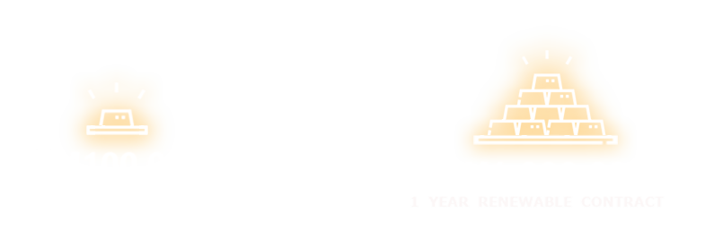 Leverage Credits